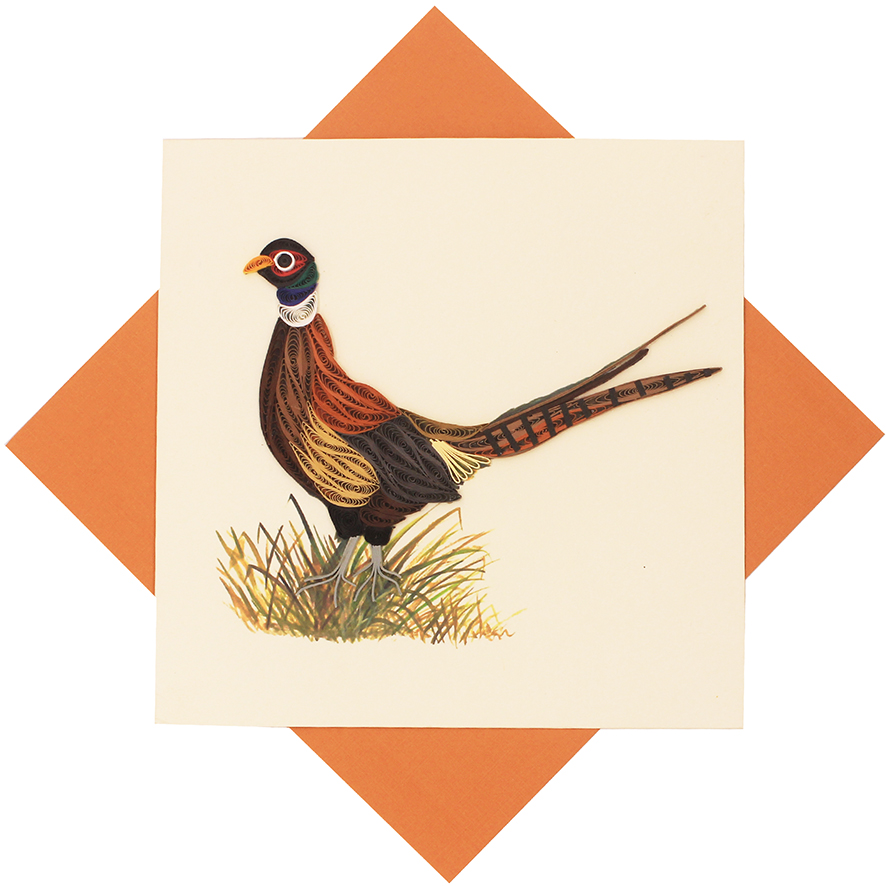 Ring-necked Pheasant Card
